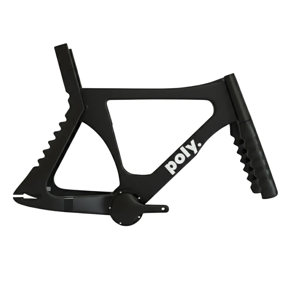 Archaeopteryx Track Bike Frameset