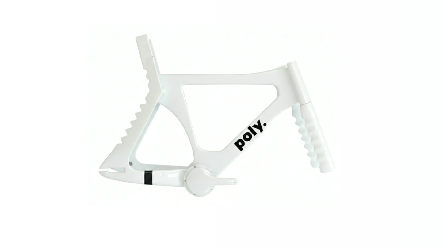 Archaeopteryx Track Bike Frameset