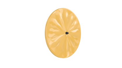 Polymer Bikes Track/TT Fluted Disc Wheel Model: POLY-ag-tr02,tt02 (Agonist-2)