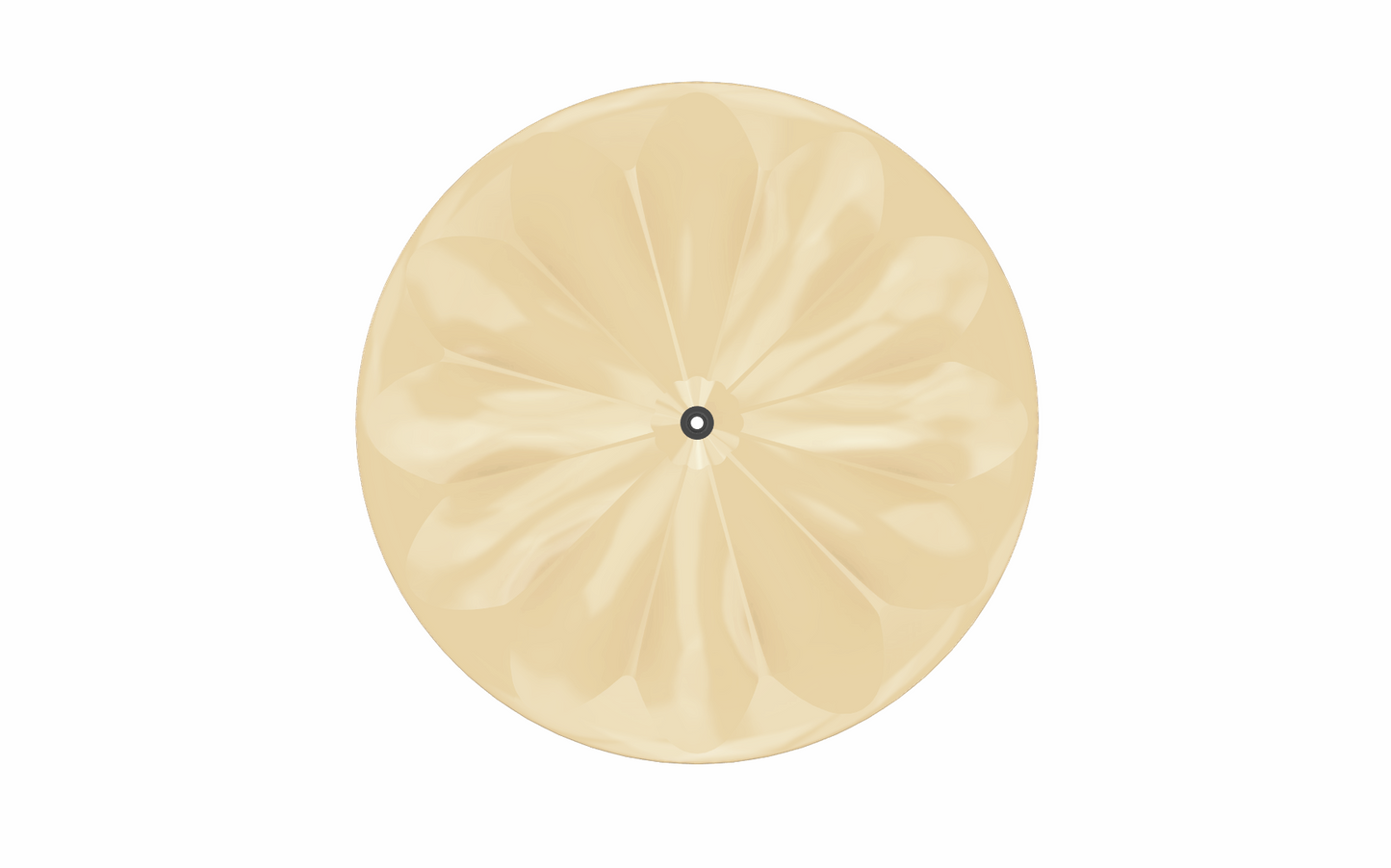 Polymer Bikes Fluted Track Disc Wheel Model: POLY-ag-tr02 (Agonist-2)