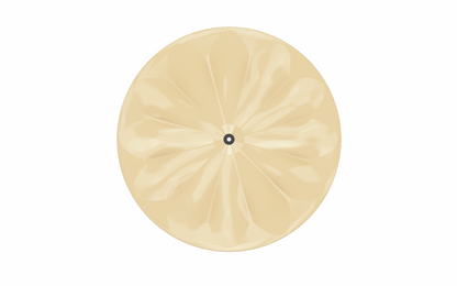 Polymer Bikes Fluted Track Disc Wheel Model: POLY-ag-tr02 (Agonist-2)